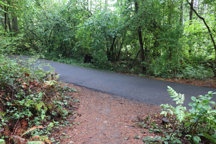 Junction to a natural surface trail creates a loop back to the paved trail